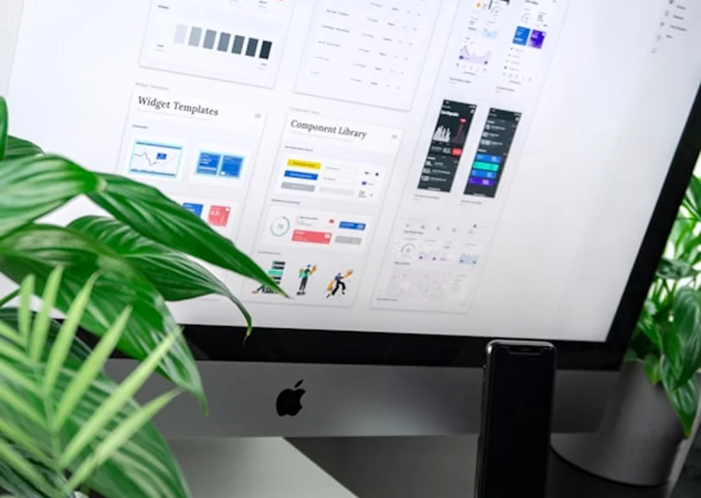 Design &<br>Branding