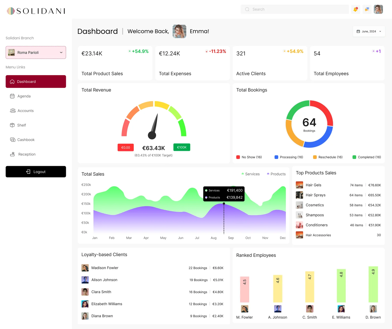 Solidani salon management SaaS dashboard